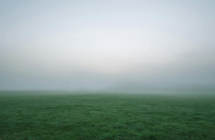 Mist en nog meer mist? Wanneer moet je je mistlichten gebruiken?